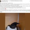 Update 15.06. Notfälle