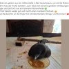 Update 15.06. Notfälle
