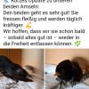 Update Amseln 04.03.2026
