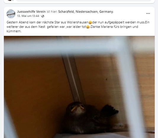 https://juesseehilfe.de/images/phocagallery/andere_einsaetze/2026/mai/1.jpg