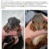 Update 11. Mai Notfälle