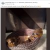 Update 27.05.2026 Notfälle