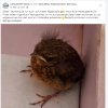 Update 27.05.2026 Notfälle