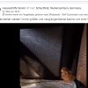 Update 27.05.2026 Notfälle