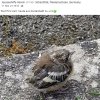 Update 27.05.2026 Notfälle