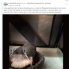 Update 27.05.2026 Notfälle