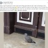 Update 27.05.2026 Notfälle