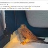 Update 27.05.2026 Notfälle