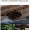 Update 27.05.2026 Notfälle