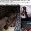 Update 11. Mai Notfälle