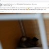 Update 27.05.2026 Notfälle