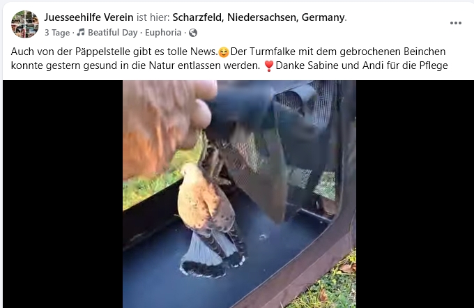 https://juesseehilfe.de/images/phocagallery/andere_einsaetze/2026/september/3.jpg