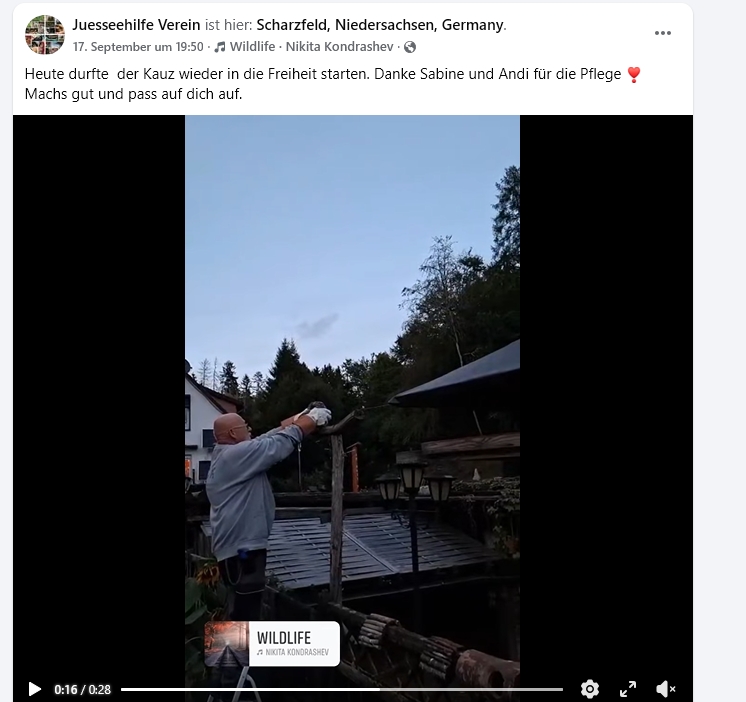 https://juesseehilfe.de/images/phocagallery/andere_einsaetze/2026/september/3.jpg