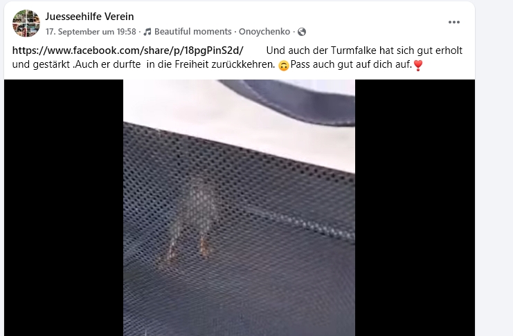 https://juesseehilfe.de/images/phocagallery/andere_einsaetze/2026/september/3.jpg