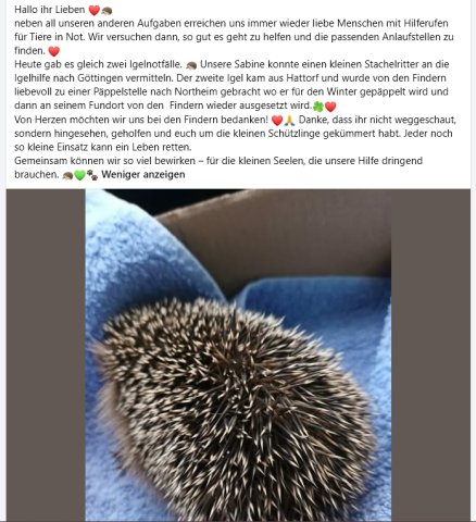 https://juesseehilfe.de/images/phocagallery/andere_einsaetze/2026/oktober/thumbs/phoca_thumb_l_2.jpg