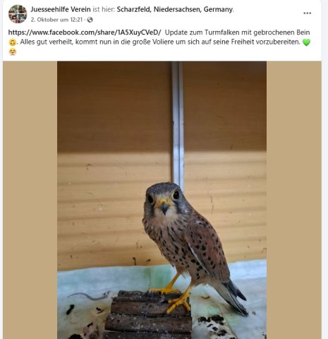 https://juesseehilfe.de/images/phocagallery/andere_einsaetze/2026/oktober/thumbs/phoca_thumb_l_2.jpg