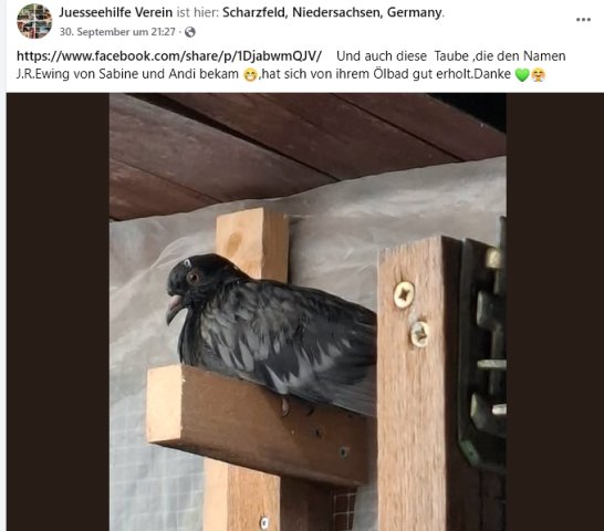 https://juesseehilfe.de/images/phocagallery/andere_einsaetze/2026/oktober/thumbs/phoca_thumb_l_2.jpg