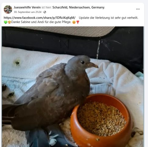 https://juesseehilfe.de/images/phocagallery/andere_einsaetze/2026/oktober/thumbs/phoca_thumb_l_2.jpg