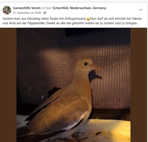 https://juesseehilfe.de/images/phocagallery/andere_einsaetze/2026/oktober/thumbs/phoca_thumb_l_2.jpg