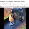 Update 10.10.2026 Notfälle