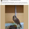 Update 10.10.2026 Notfälle