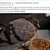 Update 10.10.2026 Notfälle