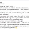 Update 26.01.