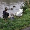 Rettungsaktion Angelschnur Schwanenpapa 23.08.2021