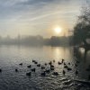 Juessee Impression