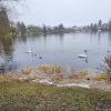 Juessee Impression