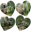 Schwanenfamilie 2021 Juessee